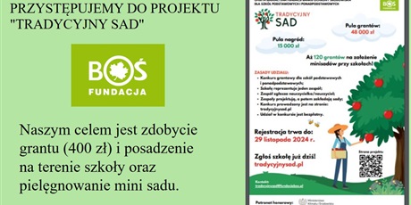 Powiększ grafikę: projekt-tradycyjny-sad-583913.jpg