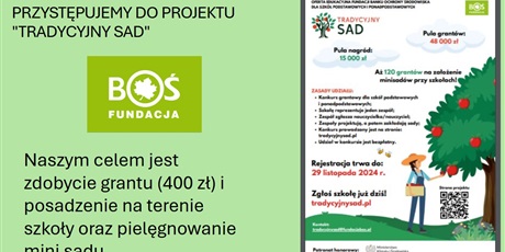 Powiększ grafikę: projekt-tradycyjny-sad-615782.jpg