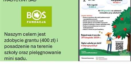 Powiększ grafikę: projekt-tradycyjny-sad-615783.jpg