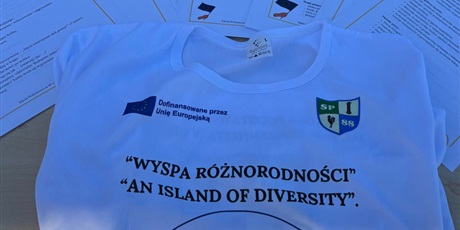 Wydarzenie "Wyspa Różnorodności"